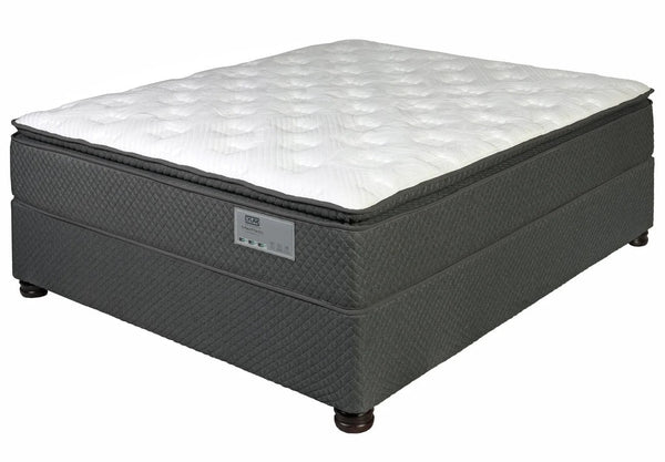 Lylax Revive FF PT  Firm